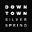 downtownsilverspring.com