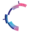 novel-format-conjugates.com