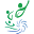 w