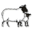 w