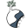 d
