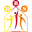 d