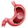 d