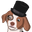 d