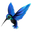 d