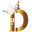 d