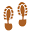 d