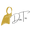 d