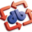 d