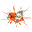 d