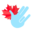 d