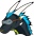 d