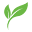 weregreenly.com