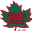 druidsrfc.com
