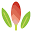wow-plants.com