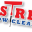 nostreakwindowcleaningservice.com