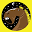 nightsteed.com