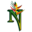 n