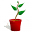 diyherbgardener.com