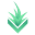 Duneland Media favicon