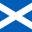 detroitscots.com