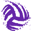 wellingtonvolleyballacademy.com