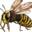 waspexterminatorlondon.co.uk