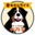 dogcafebern.com