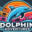 dolphinadventures.co.za