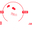 noboundaryfight.live