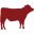 nebraskastarbeef.com