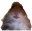 domiandjdbeck.com