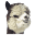 nickyt.co