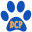 dogcareplus.ch