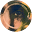 darlingside.com