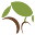 nomabarkpark.org