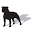 Double Dog Communications favicon