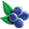 wildblueberries.com