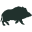 w