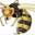 waspexterminatorshropshire.co.uk