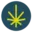 weedzy.com