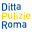 dittapulizieroma.com