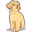 doodlebreedexpert.com