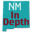 nmindepth.com