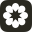 Wpshower favicon