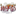 webpagestudio.net