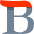 wikibrief.org