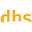 dhssolution.com