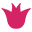 WideBundle favicon