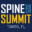 dspnspinesummit.org